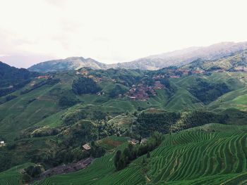 Scenic view of green landscape