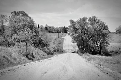 Road passing through bare trees