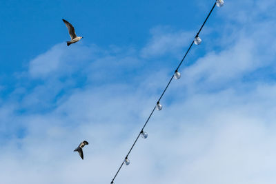 Low angle view of seagull flying in sky