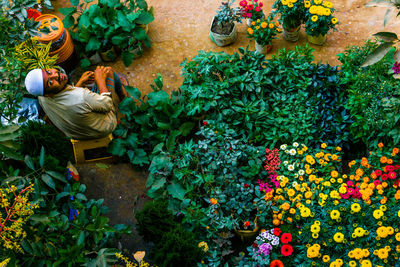 High angle view of woman by flower plants