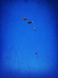 Low angle view of birds flying against blue sky