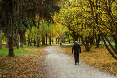 Rear view of man walking on footpath in forest during autumn