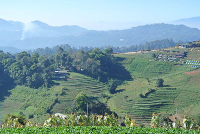 High angle view of agricultural field against sky