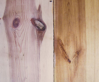 Close-up of lizard on hardwood floor