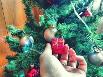 Close-up of christmas decorations hanging on tree