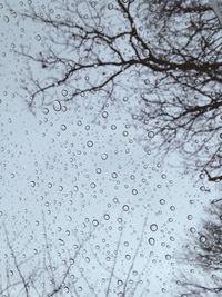 Close-up of water drops on ground