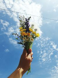 Low angle view of hand holding plant against sky