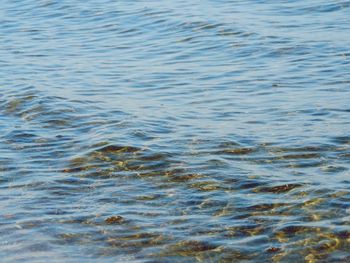 High angle view of rippled water