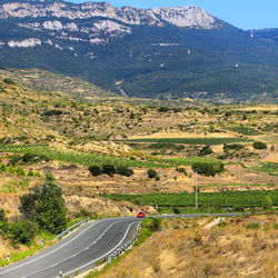 Scenic view of landscape against mountains