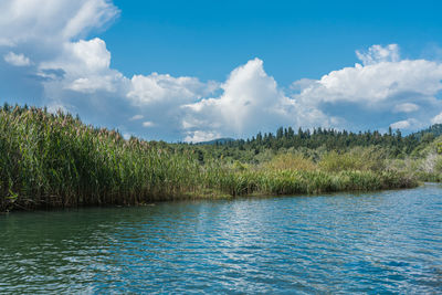 Scenic view of lake against sky