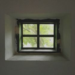 Window of old building
