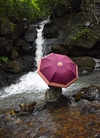 View of waterfall in forest