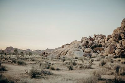 Scenic view of arid landscape against clear sky