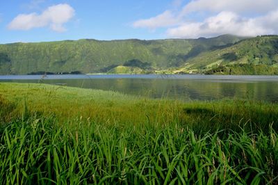 Scenic view of lake and mountains