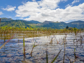 Scenic view of lake against sky