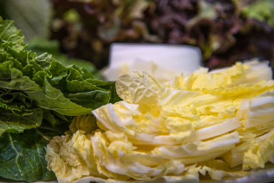 Close-up of napa cabbage on plate 