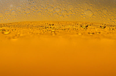 Close-up of raindrops on glass against yellow background
