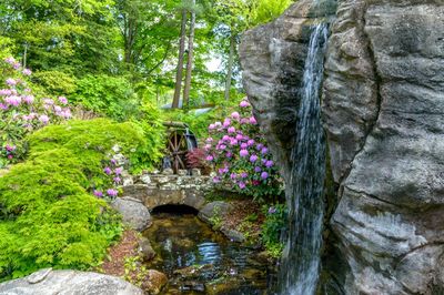 View of plants in water
