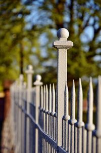 Close-up of metal fence against trees