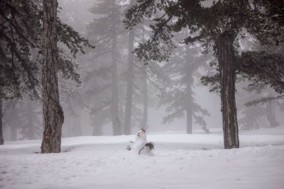 Snowman on field against trees