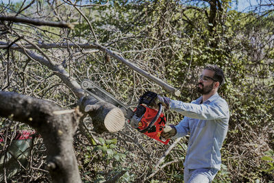 Man felling a forest with an electric chainsaw