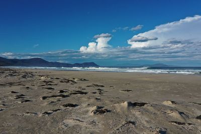 Scenic view of beach against blue sky