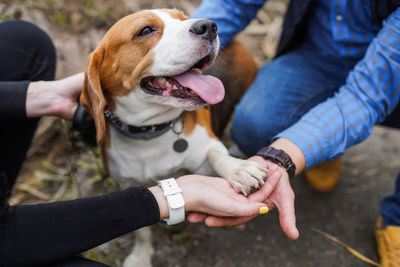 Midsection of man holding dog