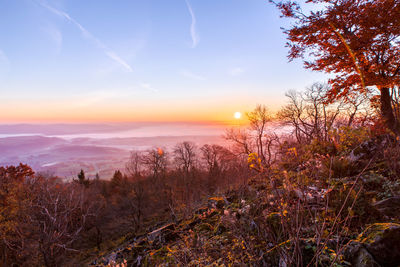 Scenic view of landscape against sky at sunset