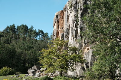 View of plants on rock formation against sky