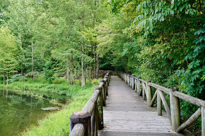 Wooden footbridge amidst trees in forest