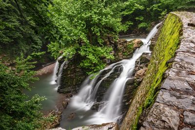 Scenic view of waterfall in forest