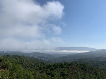 Scenic view of landscape against sky