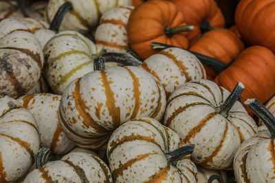 High angle view of pumpkins for sale at market