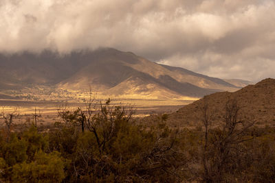 Scenic view of landscape and mountains against sky