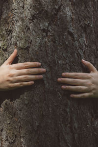 Close-up of hand touching tree trunk