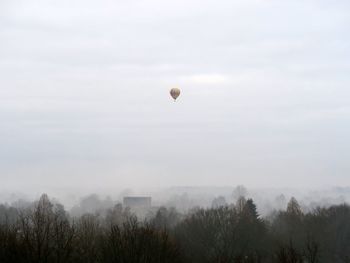 Hot air balloons flying in sky