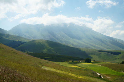 Mountains and fields