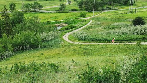 Scenic view of green landscape