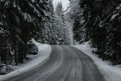 Road amidst trees in forest during winter