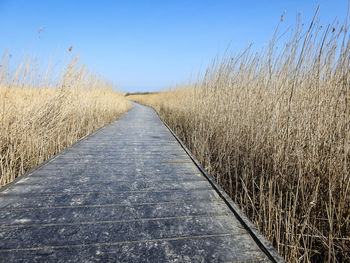 Footpath amidst field against sky