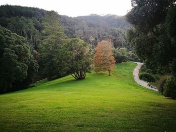 Scenic view of golf course against sky