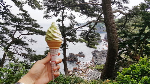 Close-up of hand holding ice cream cone against trees