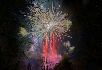 Low angle view of firework display at night