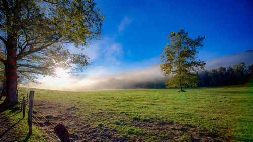 Scenic view of field against sky