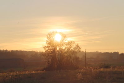 Scenic view of field against sky during sunset