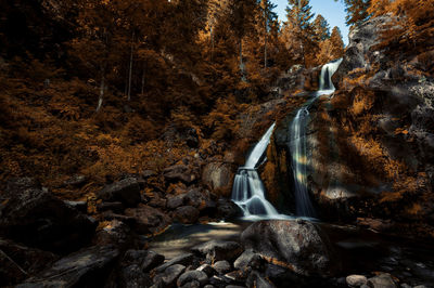 View of waterfall in forest