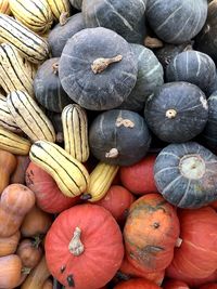 Full frame shot of pumpkins for sale at market stall