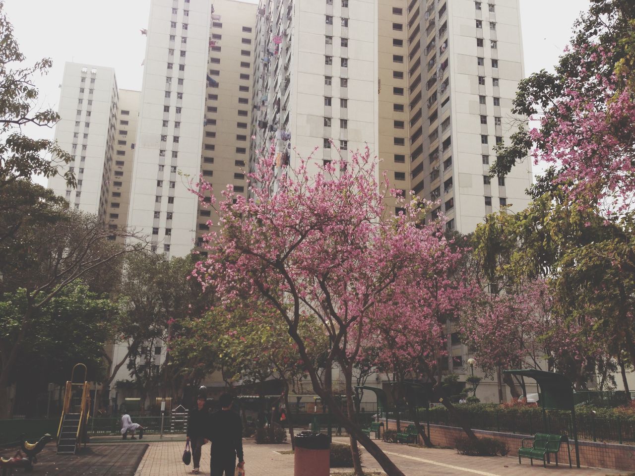 building exterior, architecture, built structure, city, tree, city life, street, growth, building, large group of people, person, incidental people, flower, day, skyscraper, car, outdoors, residential building, road