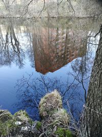 Reflection of tree in lake against sky