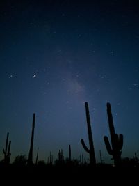 Low angle view of silhouette cactus against sky at night